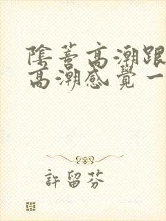 阴蒂高潮跟阴道高潮感觉一样吗