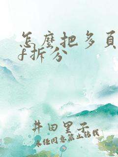 怎么把多页pdf拆分