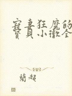 宠妻狂魔的黏人宝贝小彻全文阅读