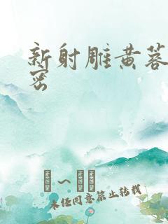 新射雕黄蓉的秘密