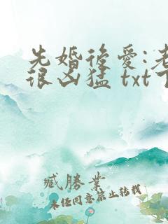 先婚后爱:老公很凶猛 txt下载