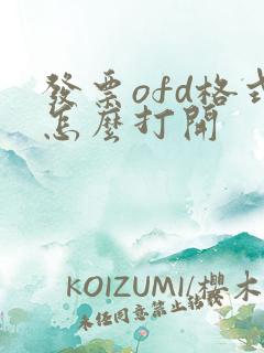 发票ofd格式怎么打开