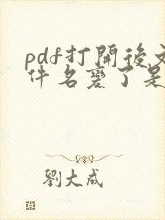 pdf打开后文件名变了是怎么弄的