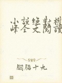 小说绝对权力秦峰全文阅读无弹窗