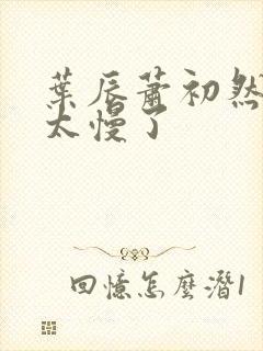 叶辰萧初然更新太慢了