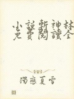 小说斩神林七夜免费阅读全文