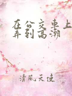 在公交车上被人弄到高潮
