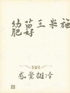 幼苗玉米施什么肥好