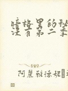 暗格里的秘密有没有第二季