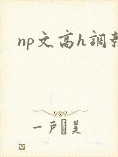 np文高h调教