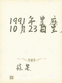 1991年农历10月23日生辰八字