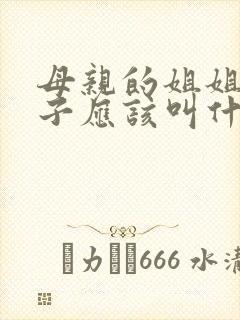 母亲的姐姐的儿子应该叫什么