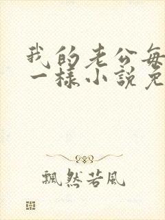 我的老公每天不一样小说免费阅读