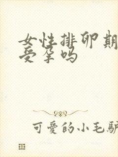 女性排卵期容易受孕吗