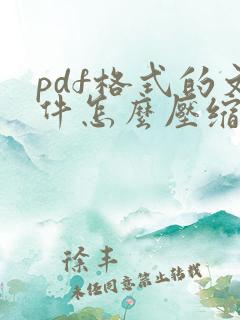 pdf格式的文件怎么压缩大小