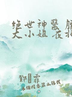 绝世神医 腹黑大小姐 夜北