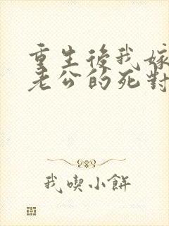 重生后我嫁给了老公的死对头 短剧