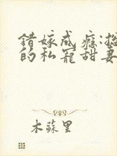 错嫁成瘾:总裁的私宠甜妻