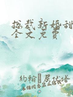 总裁新婚甜如蜜全文免费