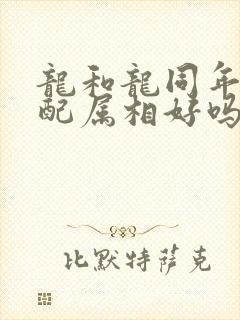 龙和龙同年的婚配属相好吗
