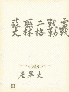 苏联二战电影斯大林格勒战役