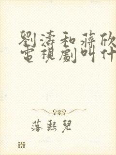 刘涛和蒋欣演的电视剧叫什么名字