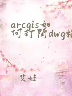 arcgis如何打开dwg格式