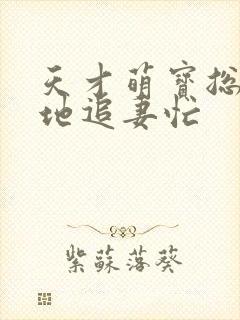 天才萌宝总裁爹地追妻忙