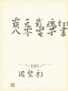 霸天武魂txt八零电子书