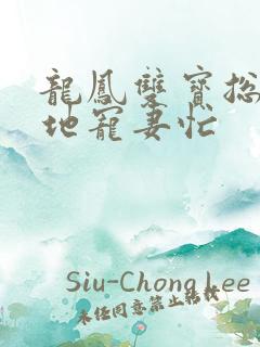 龙凤双宝总裁爹地宠妻忙