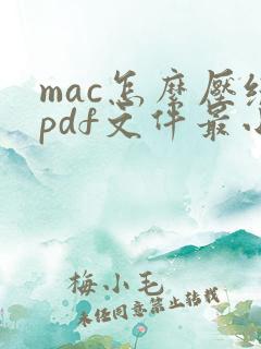 mac怎么压缩pdf文件最小