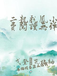 二龙戏凤小说免费阅读无弹窗全文