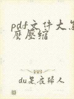 pdf文件大怎么压缩