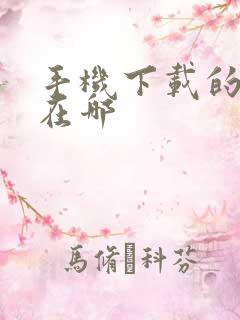 手机下载的文件在哪