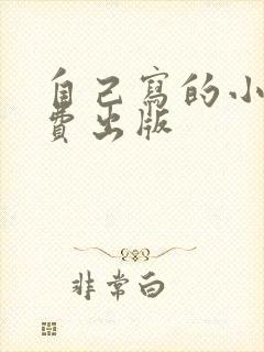 自己写的小说自费出版
