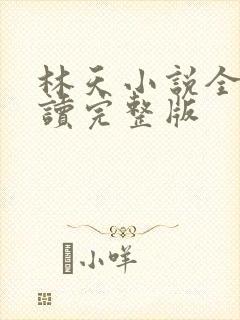 林天小说全文阅读完整版