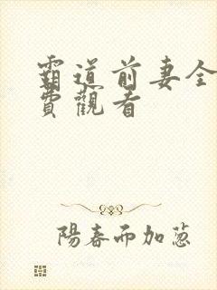 霸道前妻全集免费观看
