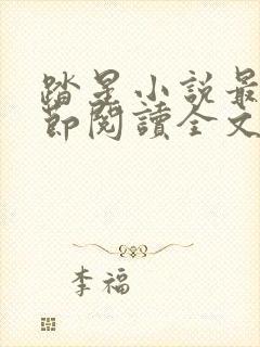 踏星小说最新章节阅读全文