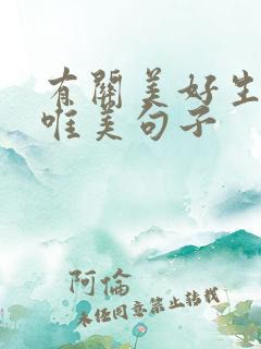 有关美好生活的唯美句子