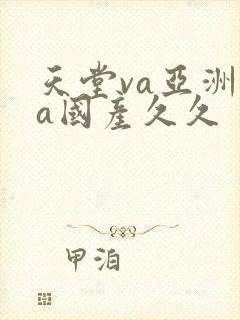 天堂va亚洲va国产久久