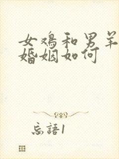 女鸡和男羊相配婚姻如何