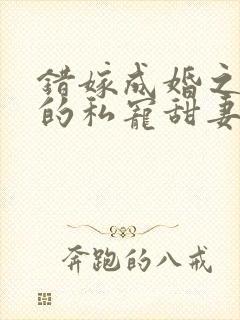 错嫁成婚之总裁的私宠甜妻