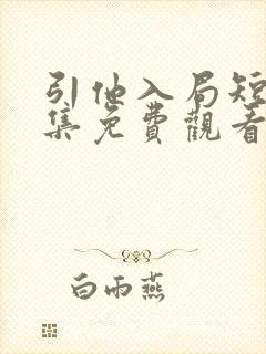 引他入局短剧全集免费观看
