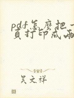 pdf怎么把一页打印成两页