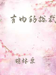 有肉的总裁文