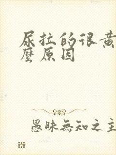 尿拉的很黄是什么原因