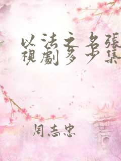 以法之名张译电视剧多少集