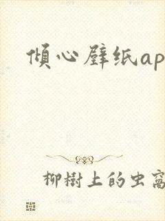 倾心壁纸app