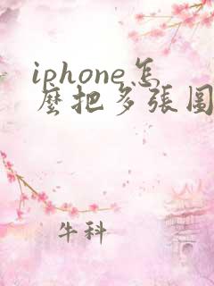 iphone怎么把多张图片转成pdf