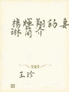 杨辉翔的妻子陈琳简介